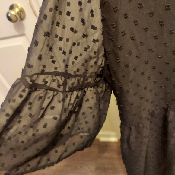 ! Park & Fifth Rennie Dress. Black Swiss dot. Large . Nwt - Picture 3 of 7